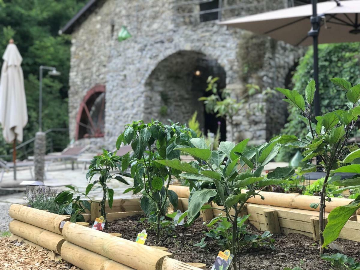 Old Mill Villa Pigna Bagian luar foto